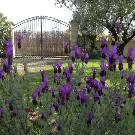 Il Casale Tra Le Vigne E Il Mare Tollo
