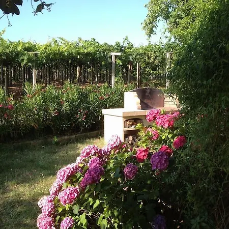 Il Casale Tra Le Vigne E Il Mare Villa Tollo