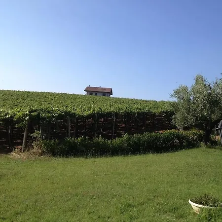 Villa Il Casale Tra Le Vigne E Il Mare