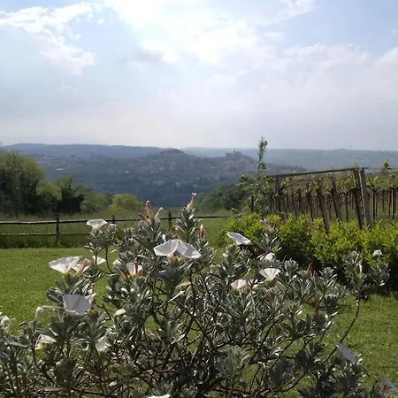 Il Casale Tra Le Vigne E Il Mare * Tollo